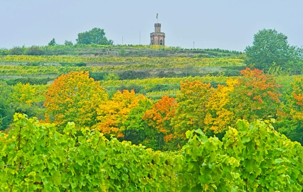 Herbstlich an der Kaffemühle